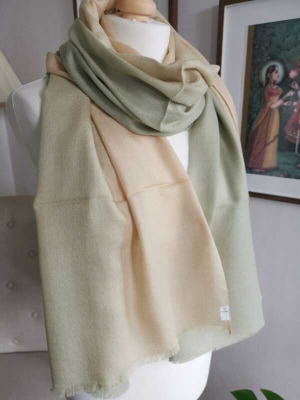 Fine Wool Ombre Pashmina Unisex Reversible Scarf in Pistachio Cream